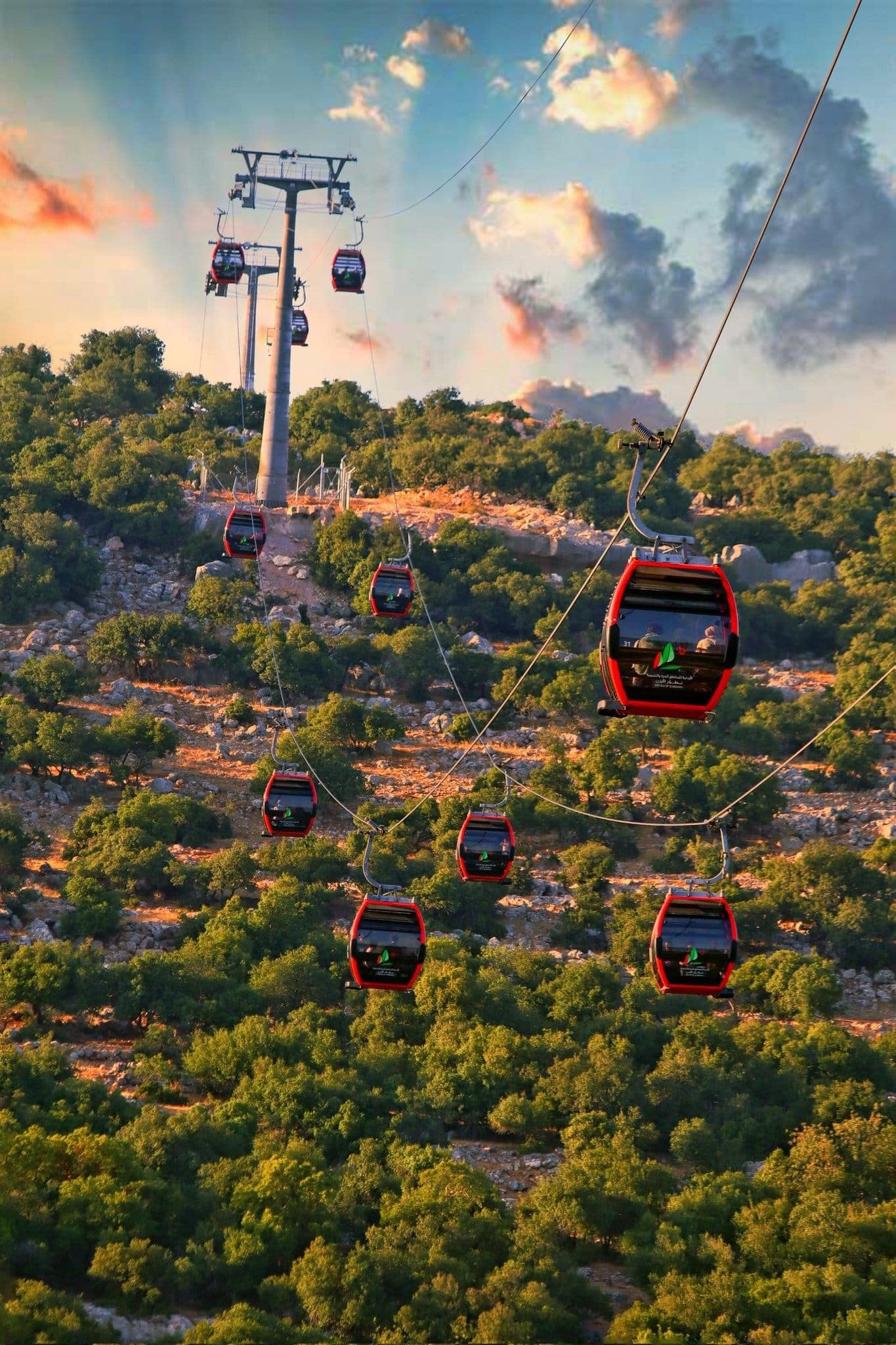 365056191 297495932801615 1934571036267432972 n